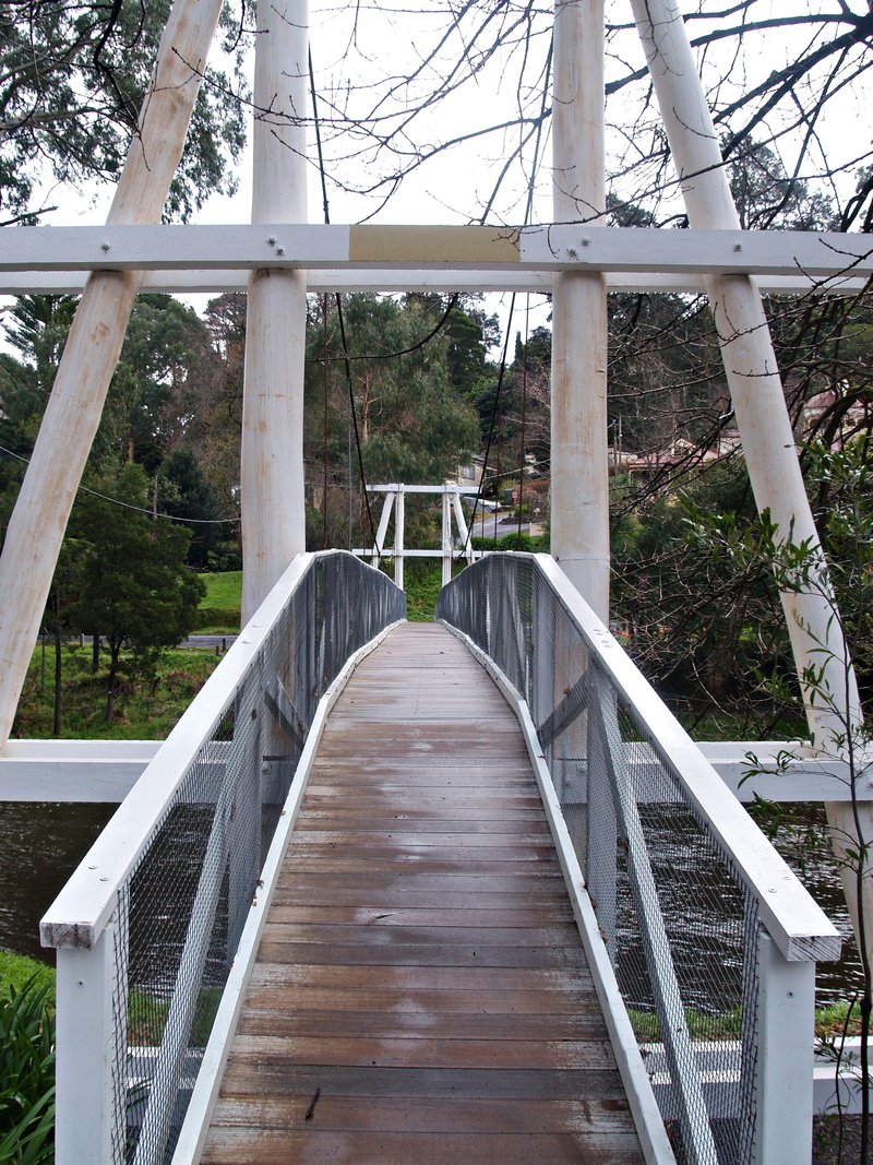 tree, footbridge, day, railings, railing, boardwalk, 2K, long, outdoors, white, bridge, built structure, the way forward, diminishing perspective, transportation