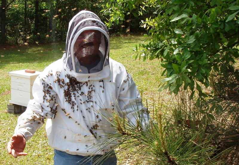 grass, beekeeper, field, three quarter length, mask, outdoors, day, growth, lifestyles, front view, bees, disguise, land, agriculture, leisure activity