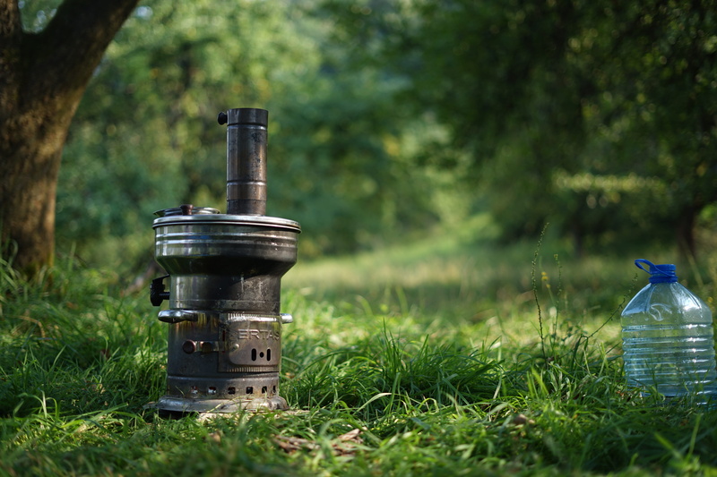 growth, no people, grass, bottle, animal, airtight, bird, hole, day, indoors, close-up, container, glass - material, focus on foreground, bronze, field