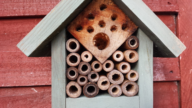 design, geometric shape, no people, wood, apiary, hole, built structure, insect, brick, day, hive, still life, metal, close-up, 1080P, bees, natural, directly above