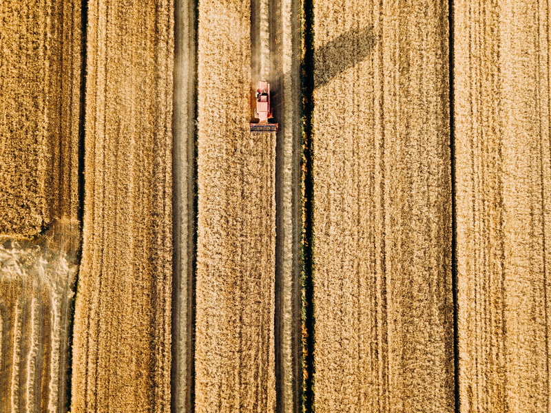 wall - building feature, furniture, road, tabletop, no people, lumber, automobile, field, rug, summer, tree, full frame, plant, vehicle, wood, nature, apiary