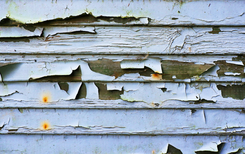 lumber, bird, banister, abandoned, built structure, tree, 2K, wall, painted, architecture, white, full frame, no people, peeling off, weathered, hole