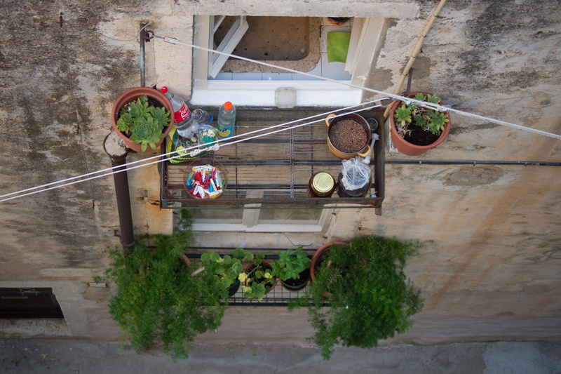 architecture, potted plant, wheel, 5K, leafed, pottery, vehicle, vase, porch, outdoors, plants, growth, tree, house, reflection, window, no people, wall - building feature
