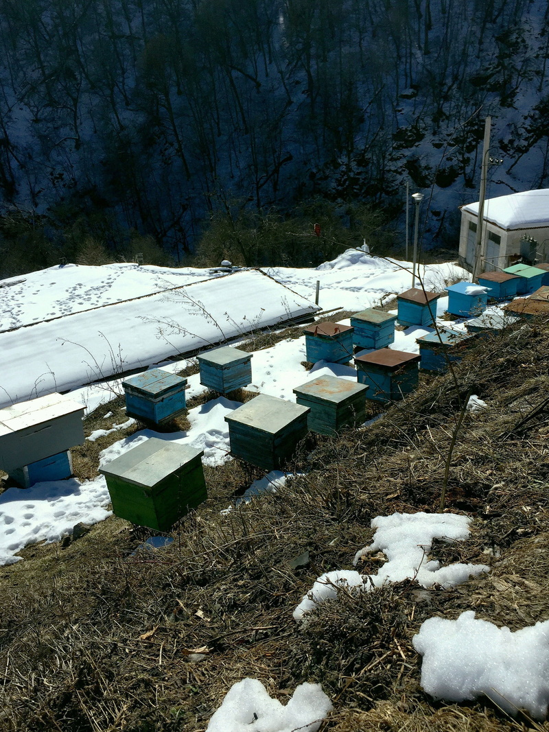 nature, day, apiary in surb haghartsin, transportation, winter, covering, apiary, frozen, land, thaw, no people, spring, water, built structure, snow, high angle view