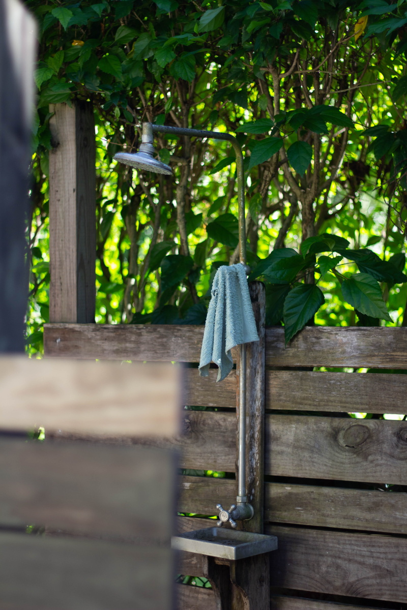 green color, selective focus, no people, apiary, arbour, animal, building, coat, birdhouse, boardwalk, focus on background, day, nature, sleeve, porch