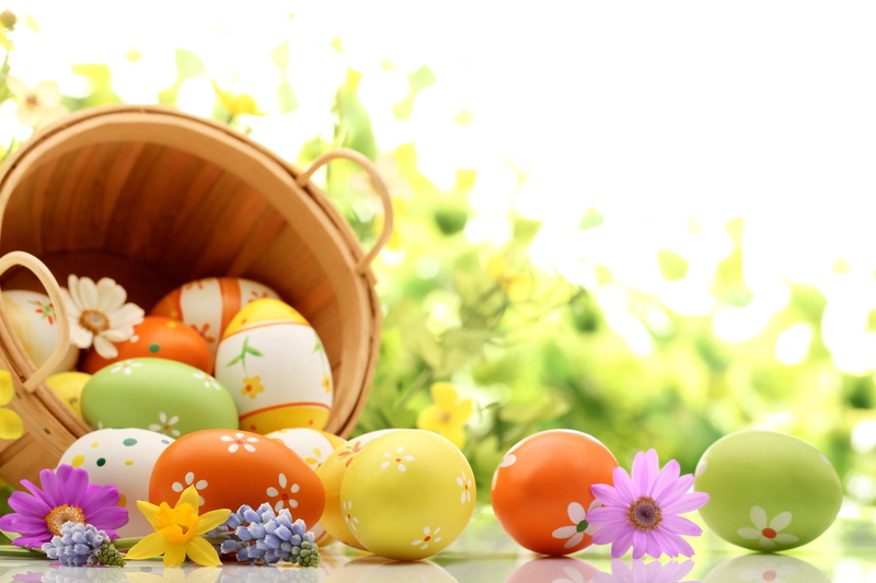Eggs, Holiday, 4K, daisies, Easter, baskets, photo
