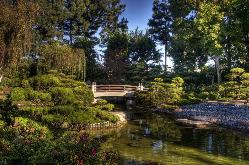 canal, cultures, pond, green, nature, bridge - Man Made Structure, intricate Arabesque, formal Garden, beauty in nature, tranquility, architecture, tree