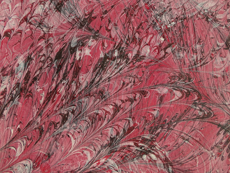 design, painting, backgrounds, no people, colorful, arabesques, pattern, movement, 5K, textured, crumpled, close-up, abundance, indoors, plant, full frame