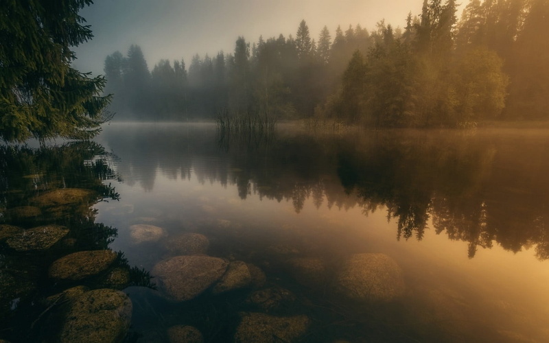 tranquil scene, mist, calm, water, fog, Finland, sky, beauty in nature, tranquility, trees, waterfront, stones, non-urban scene, growth, scenics - nature