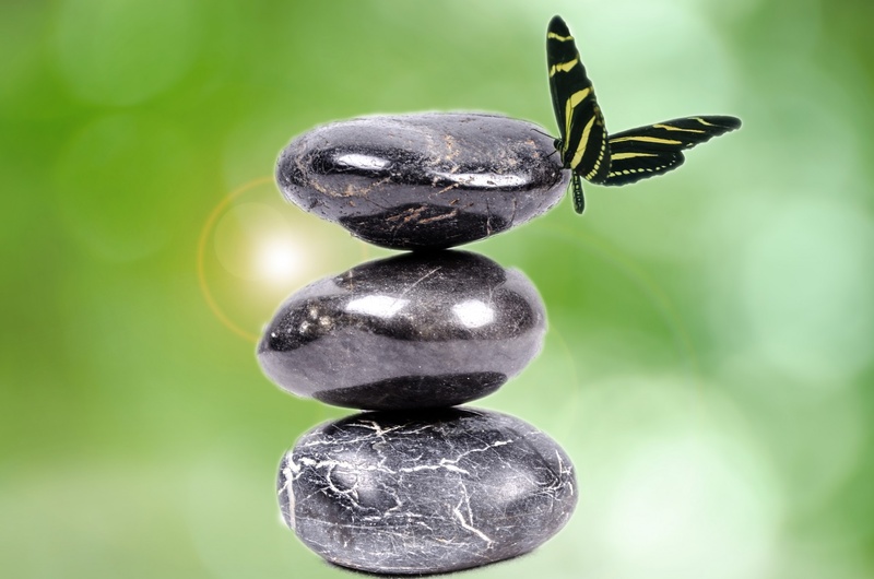 concept, spa, animal themes, stones, animals in the wild, green color, abstract, boulder, isolated, stone, day, balance, no people, animal, beauty in nature