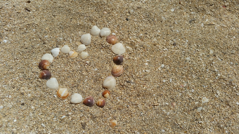 beach, nature, seashell, sand, land, still life, high angle view, close-up, solid, heart, pebble, shell, sea, shaped, textured, beauty in nature, creativity