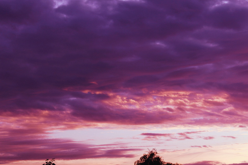 #sun, orange, #edit, sun, pink, tranquility, cloud - sky, sunset, shadows, dusk, nature, trees, pastel, idyllic, edit, dramatic sky, tranquil scene, scenics - nature