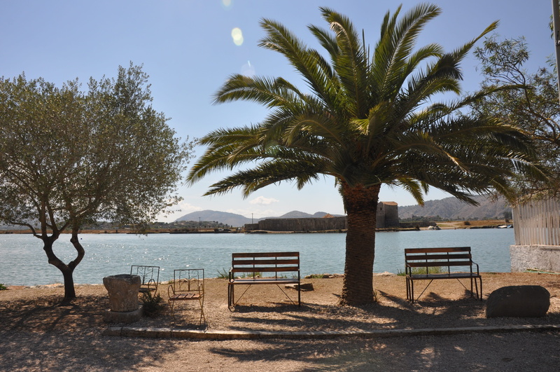landscape, europe, travel, palm tree, tree, water, 4K, tropical climate, vacation, scenics - nature, tranquil scene, tranquility, no people, chairs, sunny