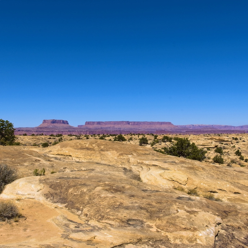 southwest, canyonlands national park, no people, 2K, travel, sandstone, landscape, tranquility, outdoors, panorama, sagebrush, plateau, land, desert, environment