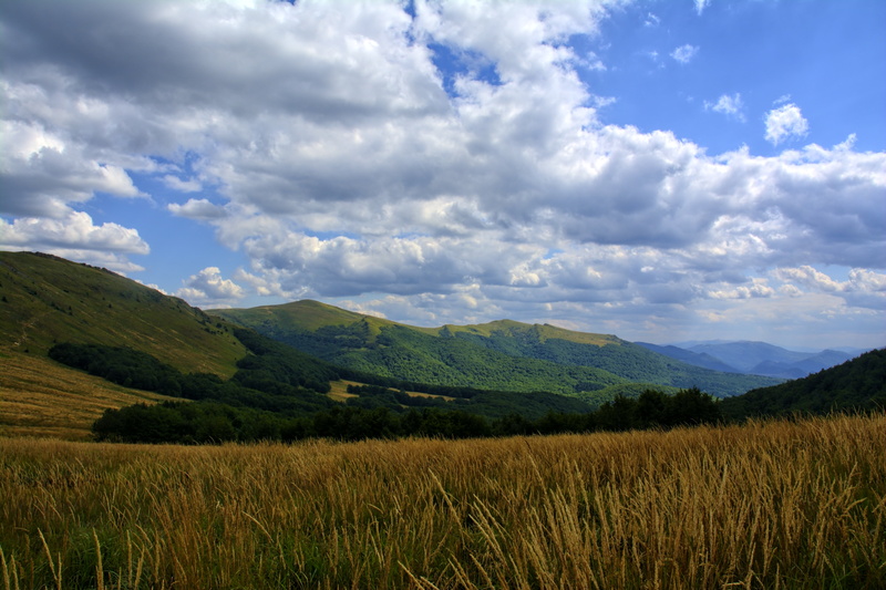 the horizon, 5K, colors, holiday, grass, sunny, cloud - sky, tourism, rural scene, tarnica, field, tranquility, non-urban scene, blue sky, agriculture