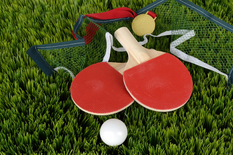 art and craft, competition, game device, ping, two, table tennis bat, day, white, freshness, racket, ping-pong, grass, no people, plant, green color, 4K