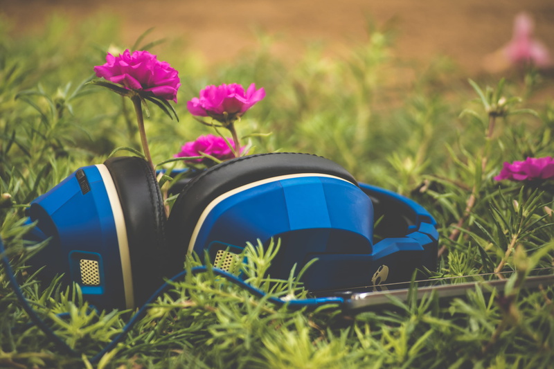 grass field, 2K, focal, selective, macro photography, personal accessory, nature, gardening, outdoors, field, grass, green grass, headphones, flowering plant