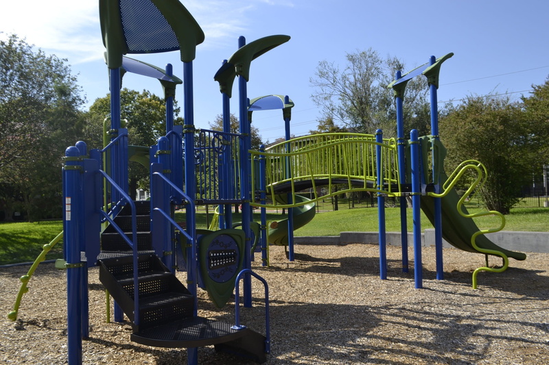 plant, summer, activity, nature, joy, gravel, grass, shadow, green, playful, rocks, happy, outdoors, laughter, boy, sunlight, blue, swings, outdoor play equipment