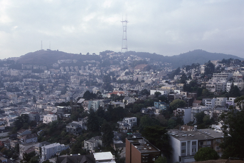 mountain, townscape, town, united states, built structure, architecture, tree, high angle view, building exterior, 4K, house, buena vista, san francisco