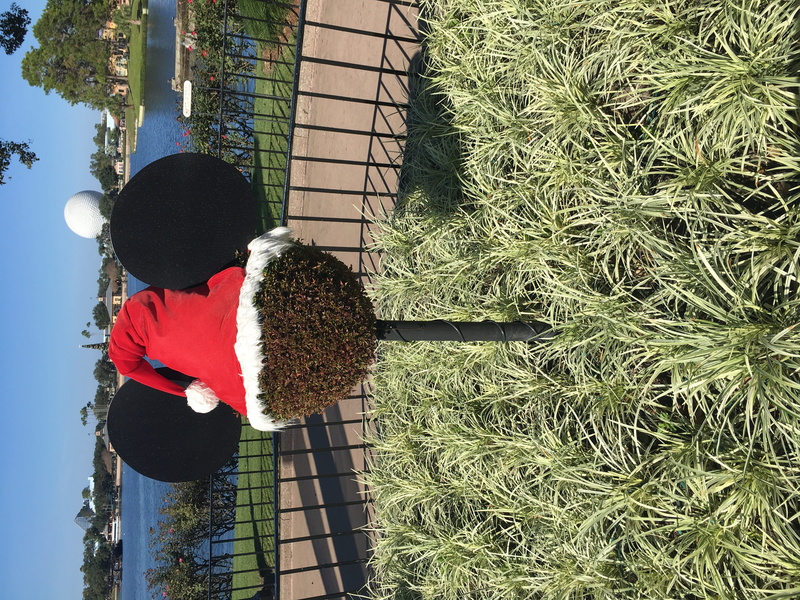 real people, casual clothing, rear view, lifestyles, day, sunlight, hairstyle, epcot, 4K, plant, child, adult, holiday, santa, land, men, nature, women