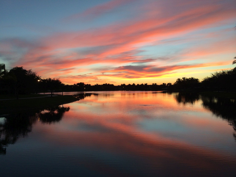 plant, idyllic, sky, Naples, florida, tranquility, silhouette, scenics - nature, water, sunset, beauty in nature, non-urban scene, reflection lake, romantic sky