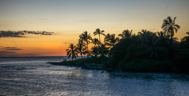 ocean, tree, sea, tropical tree, nature, island, sunset, coconut palm tree, scenics - nature, plant, summer, landscape, palm tree, sky, idyllic, romantic sky