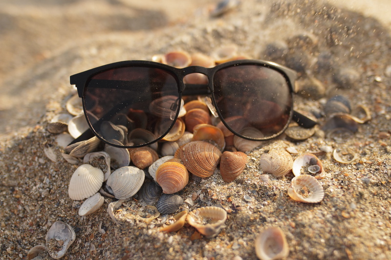 golden, beach, rock, large group of objects, solid, nature, 4K, animal shell, white, close-up, fashion, no people, macro, sunset, seashell, orange, hour