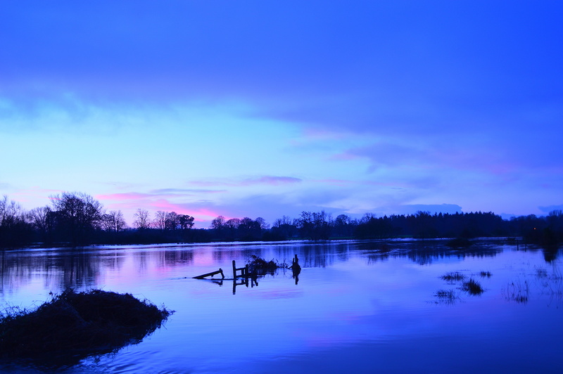 south, Purple, trees, sky, nature, nikon, d3200, europe, sunset, 5K, flooding, views, Swollen, forest, silhouette, Stour, body of water, tree, england