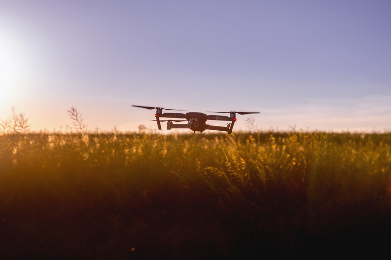 nature, environment, growth, sunlight, tranquil scene, transportation system, outdoors, plant, flying, beauty in nature, video, dawn, aviation, sun, 4K