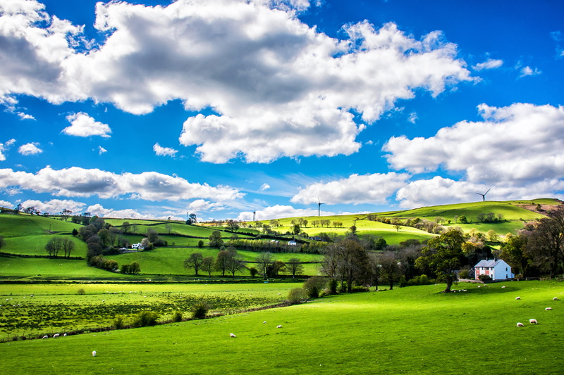 blue, tree, sky, growth, beauty in nature, sight, landscape, clouds, green, plant, environment, rural scene, green color, 5K, outdoors, cloud - sky, no people