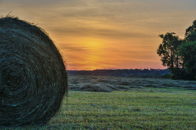 sunset, Maryland Farm, agriculture, scenics - nature, cloud - sky, hayfield, dusk, grass, sky, environment, hay bale, tree, land, silhouette, bale, orange color