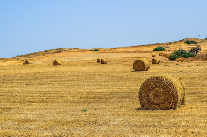 country, land, nature, hay, plant, sky, hill, field, harvesting, rural, landscape, environment, beauty in nature, tranquility, rural scene, tranquil scene