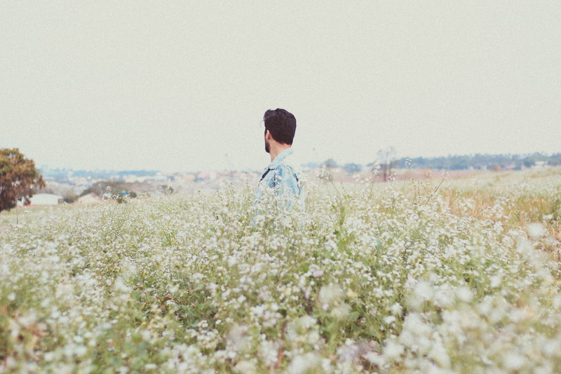 flowering plant, blur, tranquility, grass, selective focus, bright, person, environment, flowers, field, sunny, nature, 5K, sky, beauty in nature, landscape
