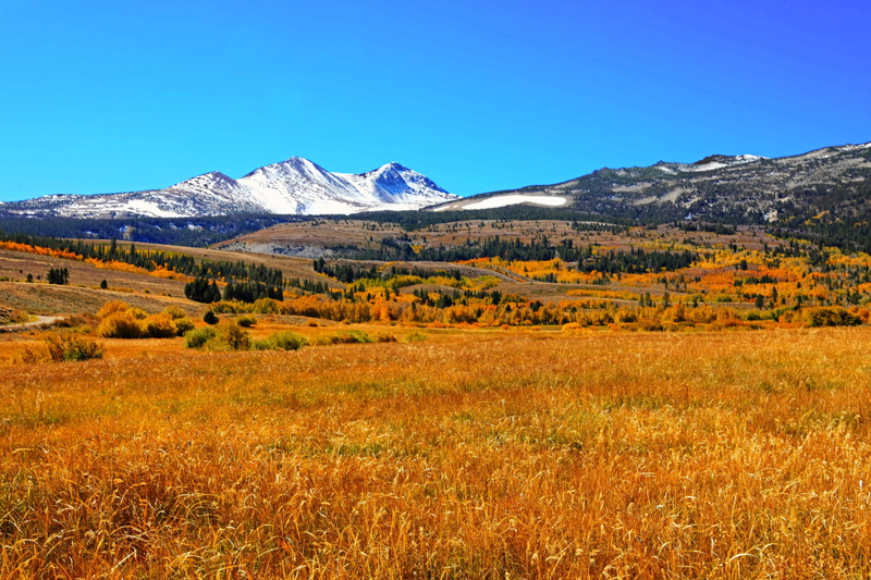 mountain peak, white, beauty in nature, sky, california, tranquility, daylight, near, 2K, outdoors, fall, day, environment, grass, sight, no people, scene