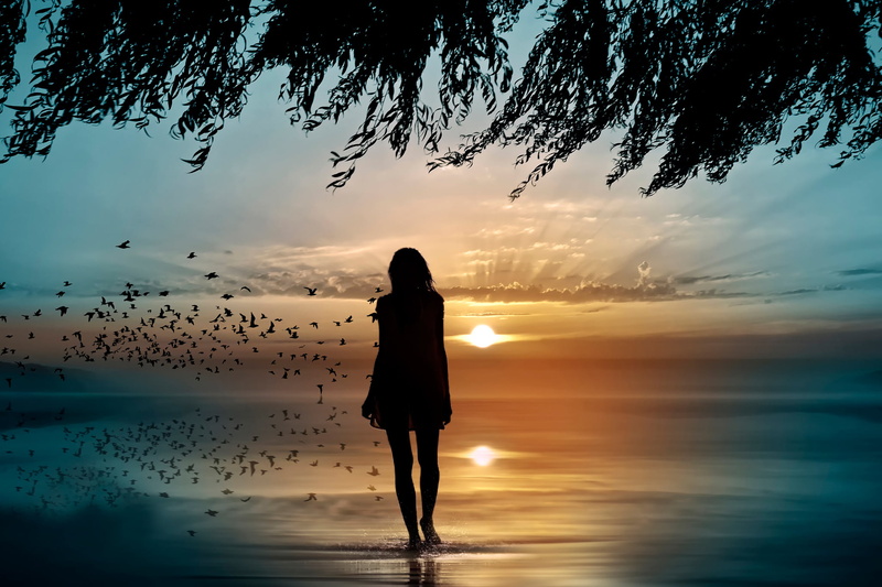 beach, looking at view, sunset, beauty In Nature, adult, beautiful, sunlight, silhouette, vacations, females, full length, summer, twilight, tranquil Scene