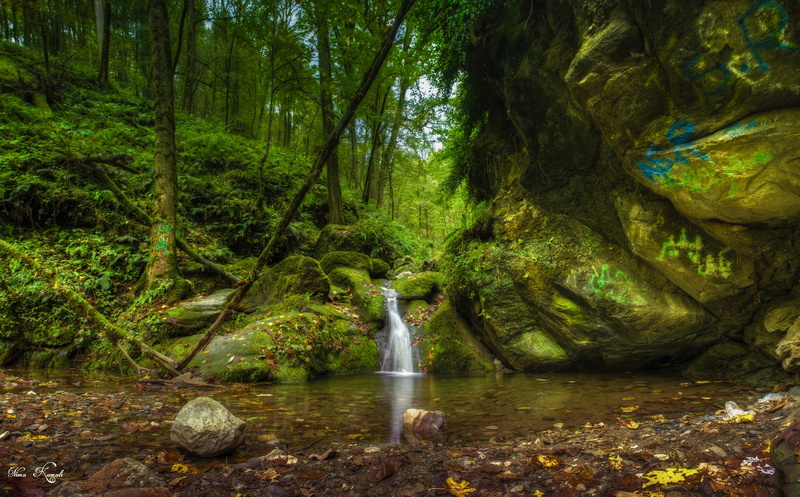flowing, waterfall, tree, rock, plant, tila kenar, river, stream - flowing water, mazandaran, rainforest, scenics - nature, tranquil scene, Nature, beauty in nature