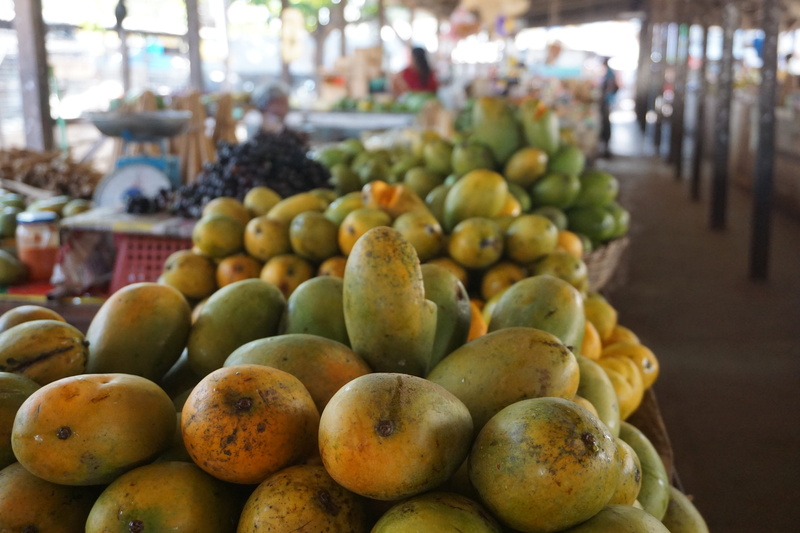 asia, fruit, Mango, retail, fresh, wellbeing, focus on foreground, market Stall, for sale, Fresh, food and drink, food, business, healthy Eating, sri lanka