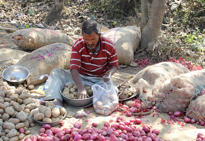 adult, indian street vendor, food, freshness, selling, rural market, market, market stall, sell, real people, traditional, indian, trade, store, occupation
