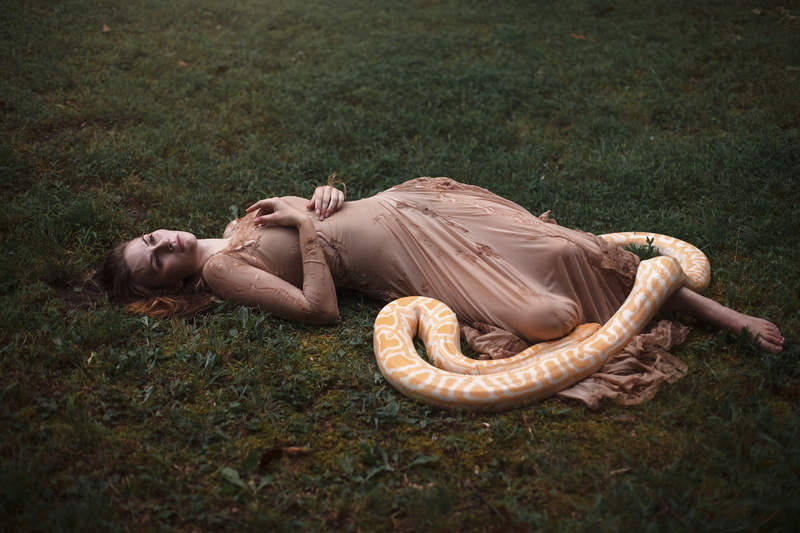 real people, field, young women, relaxation, leisure activity, model, beautiful woman, reptiles, lying down, lifestyles, 1080P, plant, grass, snake, day