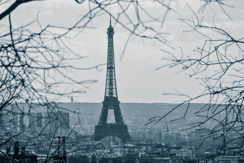 no people, tower, history, low angle view, landmark, eiffel Tower, building exterior, iron - metal, branch, city, famous, built structure, outdoors, paris - France