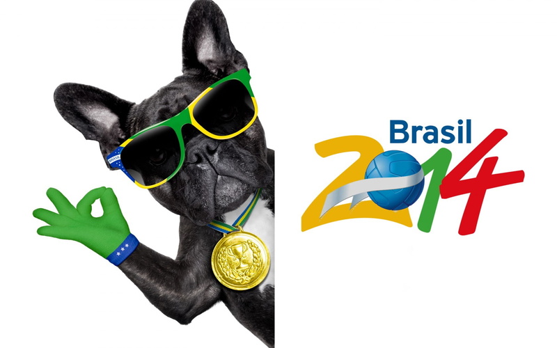communication, animal, canine, indoors, brasil, pug, puppy, fun, pets, dog, terrier, fifa, vertebrate, backgrounds, isolated, green color, cut out, holiday