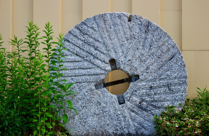 day, plant, outdoors, plant part, 5K, wall, leaf, wall - building feature, pattern, architecture, light fixture, nature, united states, building exterior