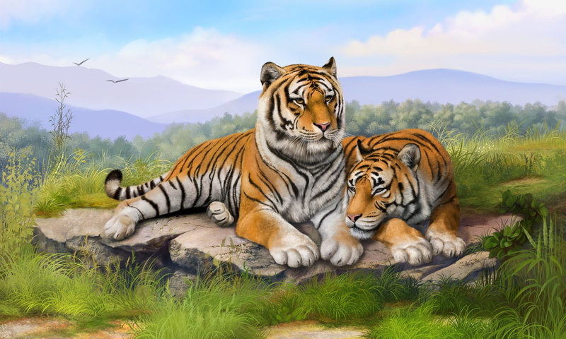 resting, animal themes, painting, big cat, relaxation, vertebrate, striped, Landscape, feline, animal, animals in the wild, no people, Tiger, plant, tigress