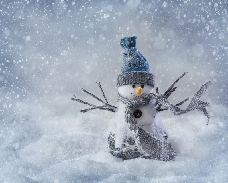 fun, illustration, branch, bird, snegovi, snowing, weather, snowman, scarf, Christmas, animals in the wild, storm, season, happiness, frozen, no people