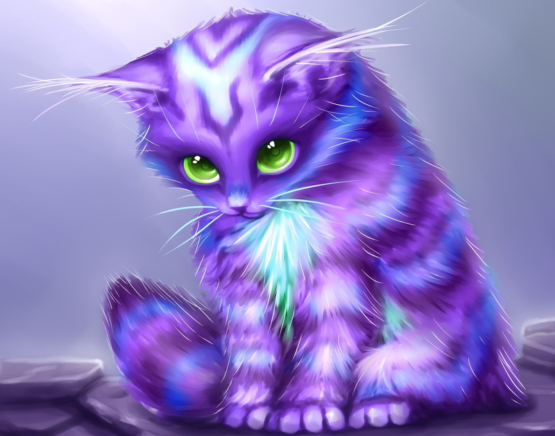 cats, Magical, baby, cute, Kitten, animals, psychedelic, 1080P, fantasy, cat