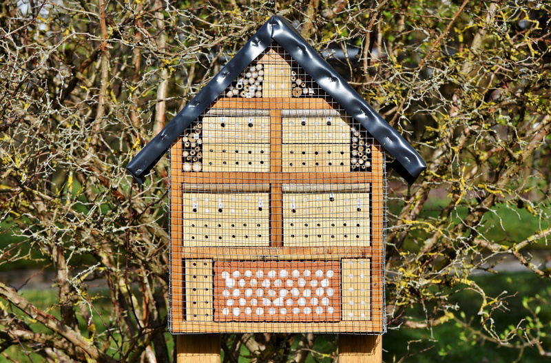 close-up, twigs, focus on foreground, tree, built structure, drill holes, wooden, hibernation help, day, wood - material, pattern, insect house, nesting help