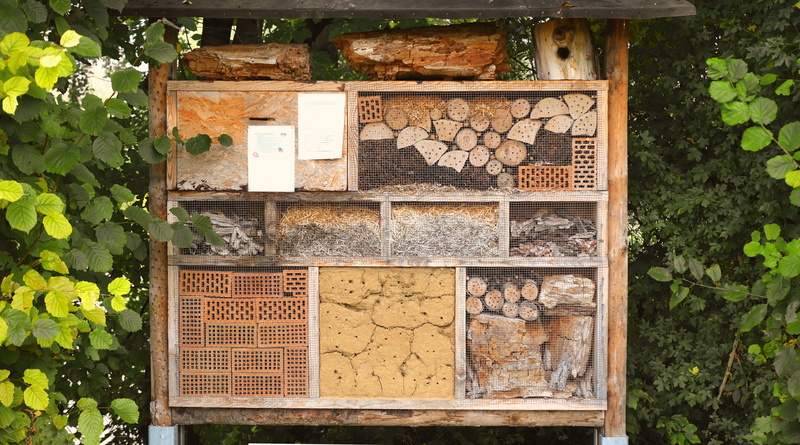 animals, brick, wood - material, text, 4K, perforated, insect house, wild bees, apiculture, Insect, insect hotel, wall, beetle, day, plant part, nature