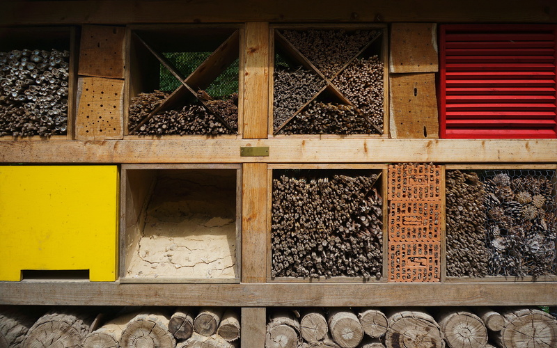 architecture, built structure, rail transportation, container, track, nature conservation, day, wood, perforated, building exterior, railroad track, building