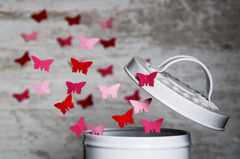 autumn, food and drink, close-up, paper, wire, flying, 2K, cardboard, travel, leaf, nature, celebration, tinker, background, no people, shape, still life