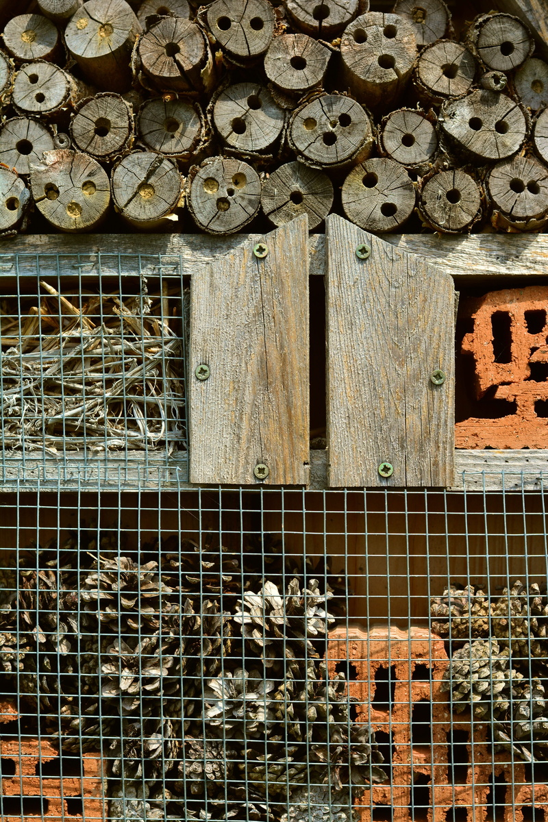outdoors, tree grates, bricks, close-up, indoors, natural materials, insect house, Wood, security, steel grid, metal, drill holes, Insect Hotel, nurschutz